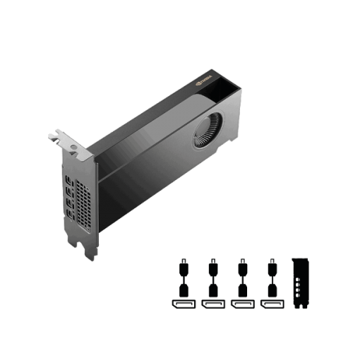 כרטיס מסך Pny Nvidia RTX PRO 2000 Blackwell 16GB GDDR7 Bulk